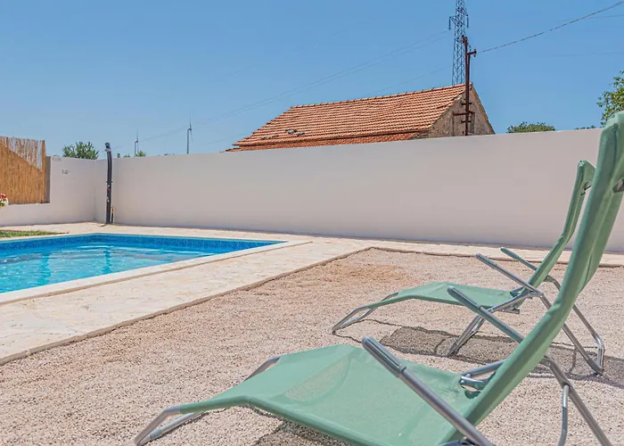 In Danilo With Wifi Protega